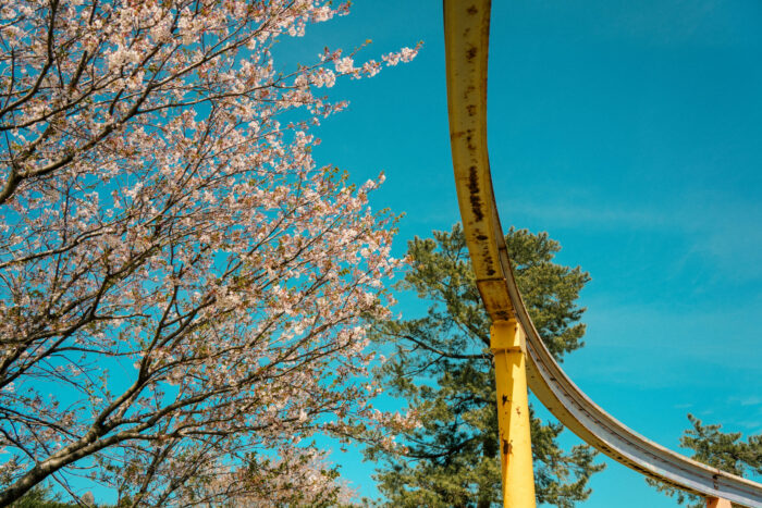 長続きしないもの